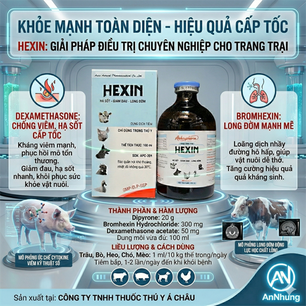 Á CHÂU HEXIN - Lọ 100ml - Ảnh 4