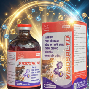 VIBOSAl TD 100ml - Chai 100ml