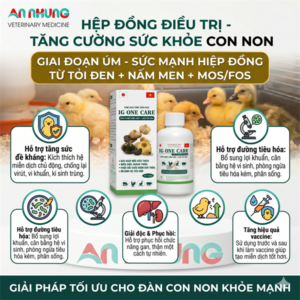 Alternative view of SUMI IG ONE CARE kháng thể 100ml - Chiết xuất nấm men & tỏi đen - Chai 100ml