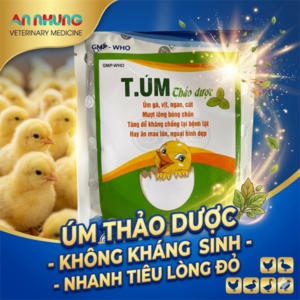 LIKE T.ÚM GIA CẦM THẢO DƯỢC - Gói 100gr