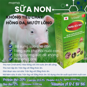 SUMI MAMA SỮA NON HỘP 1kg - Hộp