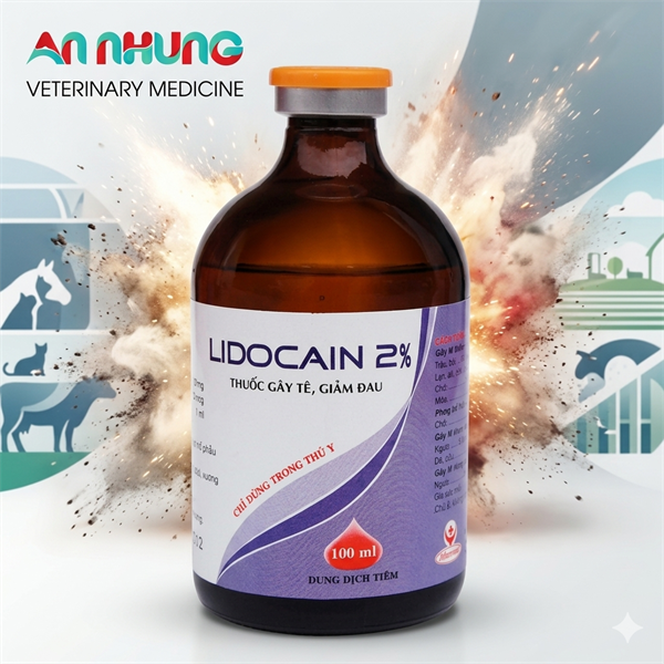 Hanvet Lidocain 2% (Gây tê) 100ml - Lọ - Ảnh 3
