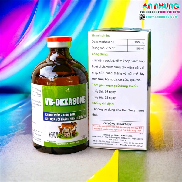 VB DEXASONE 100ML - chai/100ml - Ảnh 3