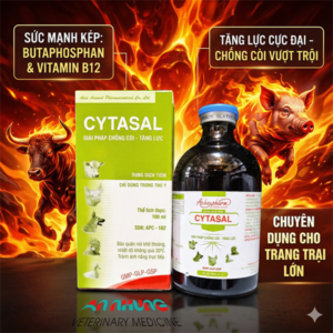 Á CHÂU CYTASAL INJ 100ml - Chống còi, Tăng lực - Lọ