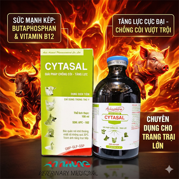 Á CHÂU CYTASAL INJ 100ml - Chống còi, Tăng lực - Lọ