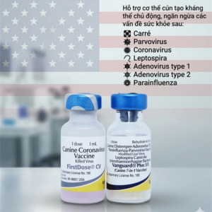 VACCINE ZOETIS VANGUARD PLUS 5 CVL- 7 bệnh chó - Cặp 7Benh