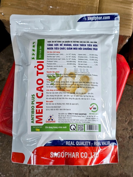 SAGOPHAR - MEN CAO TỎI -1kg (10in1) - Gói - Ảnh 2
