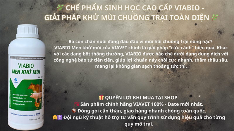 VIABIO - Men Khử Mùi 1 lít - Chai - Ảnh 5