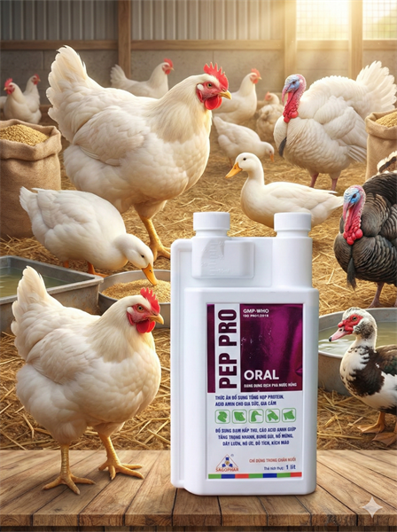 SAGOPHAR PEP PRO 1 Lít Oral - Protein, Đạm, Acid Amin, Tăng trọng giai đoạn cuối - Chai - Ảnh 2