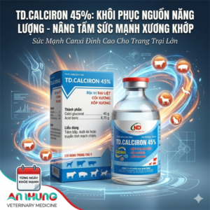 ND CALCIRON 45% (Truyền tĩnh mạch) 100ml - 100ml