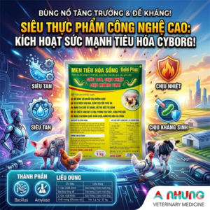ND MEN TIÊU HÓA SỐNG - GOLD PLUS - 1kg - Gói 5in1