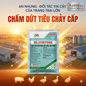 ND STREPDINE - Đặc trị tiêu chảy 100gr - Gói