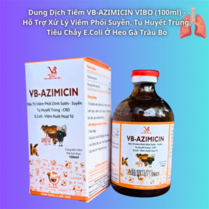 VB AZIMICIN - Đặc Trị Viêm Phổi Dính Sườn,APP, Suyễn, Tụ Huyết Trùng - Lọ 100ml