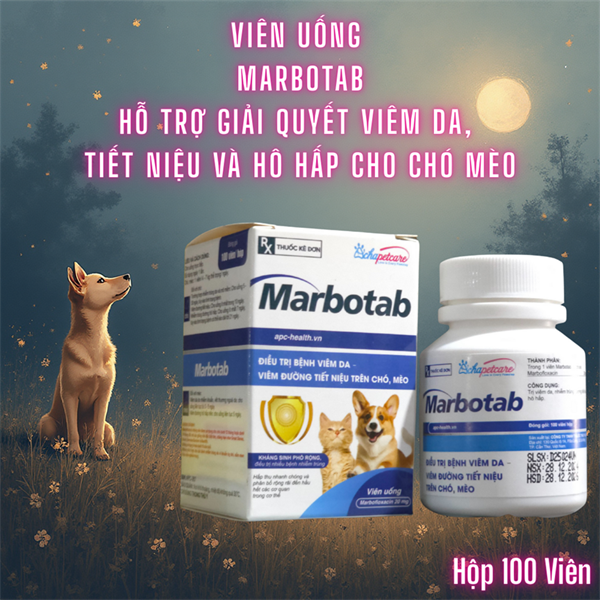 Á Châu Marbo Tab (Viêm da, viêm đường tiết niệu Pet ) - Hộp 100 viên - Ảnh 3