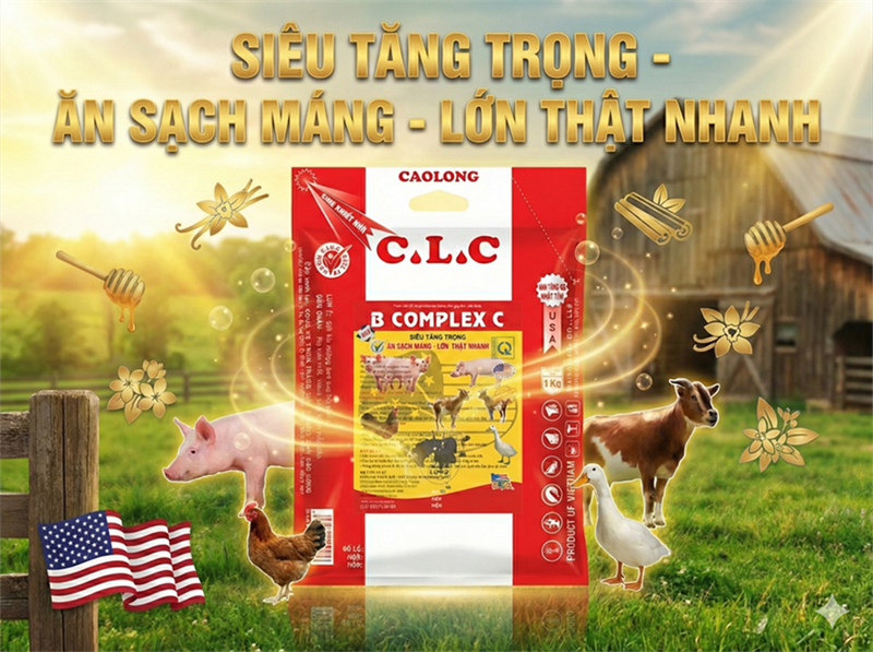 CAO LONG BCOMPLEX C - Thùng 20 gói