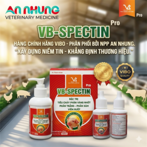 Alternative view of VB Spectin Pro 20ml Oral - Tiêu chảy, phân vàng nhớt, phân trắng, phân xám - Hộp 10 lọ