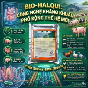 CV HALQUINOL 60% - 1kg xá - Gói