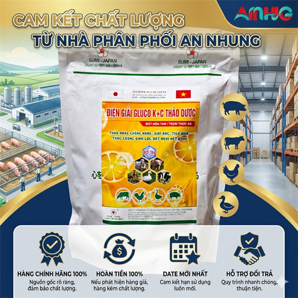 SUMI ĐIỆN GIẢI GLUCO KC THẢO DƯỢC 1Kg - Thùng 15 gói - Ảnh 5