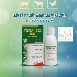 Á CHÂU TOLTRA COX 500 - 100ml Oral - Lọ