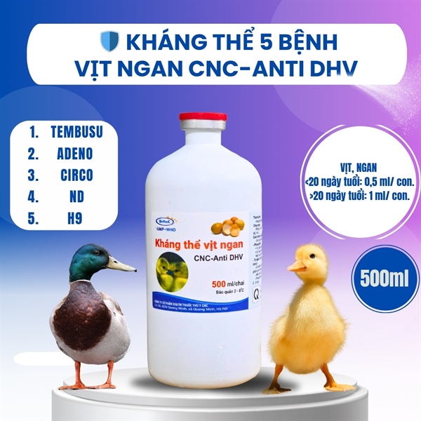 Kháng Thể 5 bệnh- CNC ANTI DHV (Tembusu, Adeno, Circo,ND, H9) 500ml - Lọ 500ml