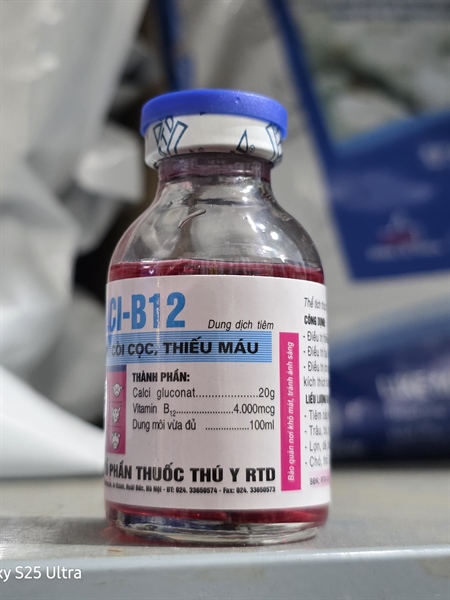 RTD calci b12 - lọ 20ml - Ảnh 2