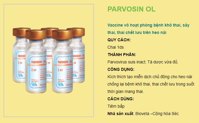 Vaccine Parvo 1 Liều - Lọ 1 con - Ảnh 5