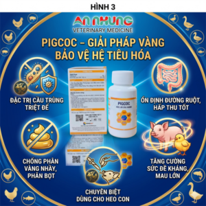 Agri Pigcoc 50ml - cầu trùng heo con - Chai 50ml