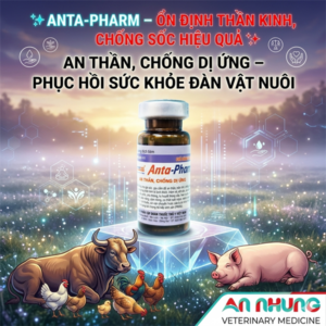 Drich Anta Pham 10ml - Hộp 15 lọ