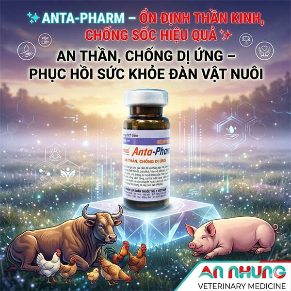 Drich Anta Pham 10ml - Lọ