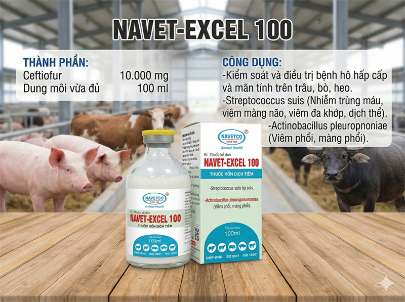 NAVET EXCEL 10% 100ml - Ceftifour - Lọ 100ml
