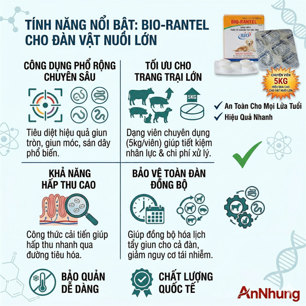Bio Rantel - Hộp 10 viên - Ảnh 3