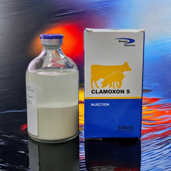 AGRI CLAMOXON S INJ - AMOX GENTA 100ml - Lọ - Ảnh 3