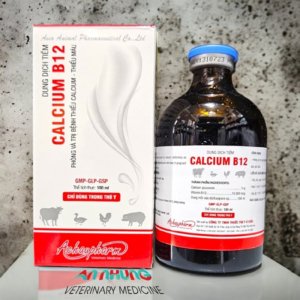 Á CHÂU CALCIUM B12 - Lọ 100ml