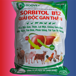 GOOVET SORBITOL B12 GIẢI ĐỘC GAN THẬN - Gói 5in1