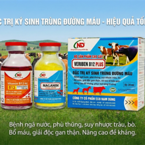 Alternative view of ND Veriben B12 Plus 20ml - hộp