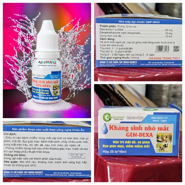 Goovet KS nhỏ mắt Gen dexa 10ml - Lọ 10ml - Ảnh 3