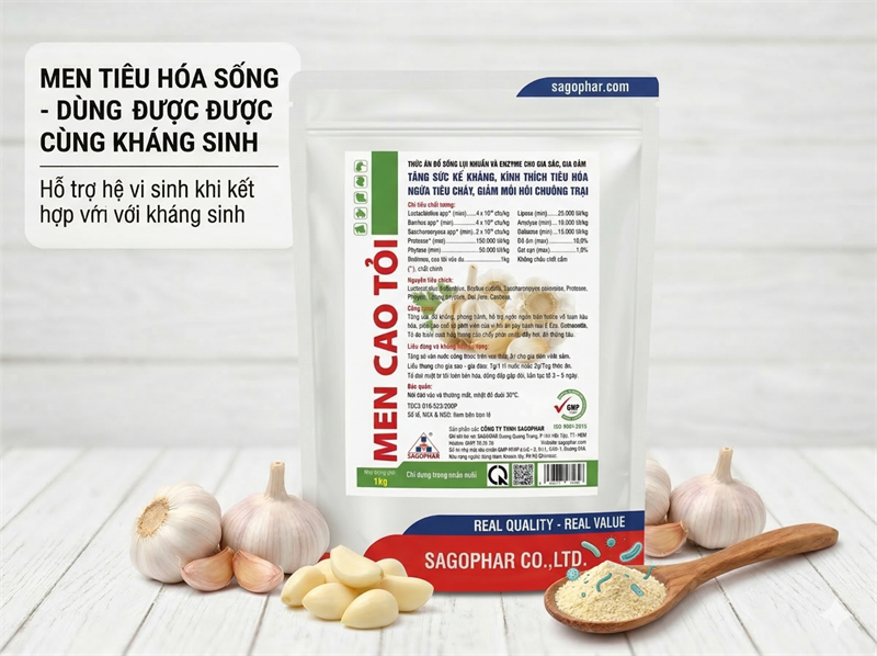 SAGOPHAR - MEN CAO TỎI -1kg (10in1) - Gói - Ảnh 3