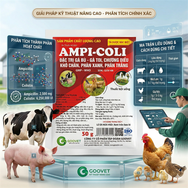 Goovet Ampi Coli Đỏ - Gà Rù, Gà Toi - Thùng 240 gói - Ảnh 4