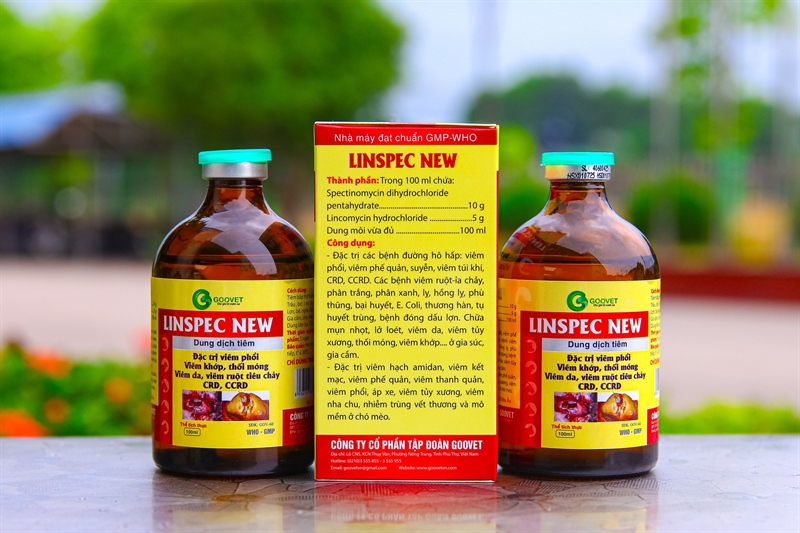 GOOVET LINSPEC NEW 100ml - Chai 100ml - Ảnh 2