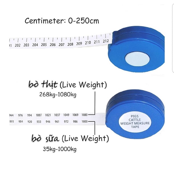 Thước đo thể trọng Bò - Cái - Ảnh 2