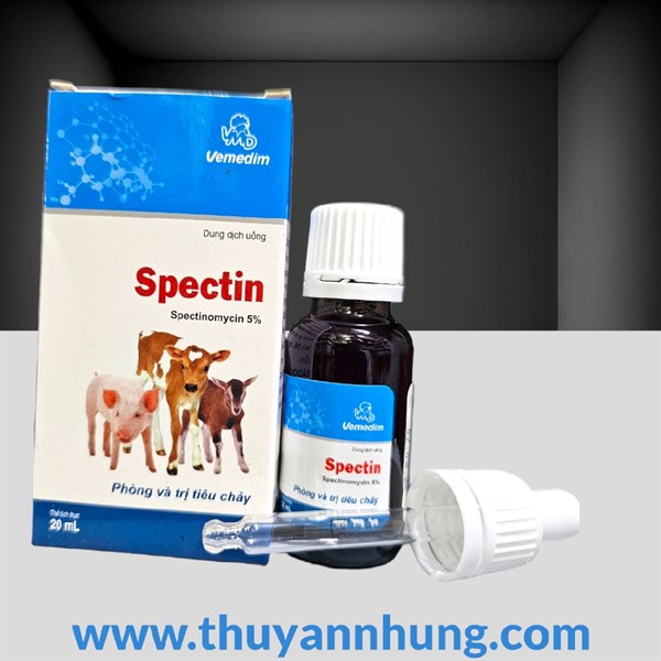 VMD Spectin 20ml Oral - Lọ 20ml - Ảnh 4