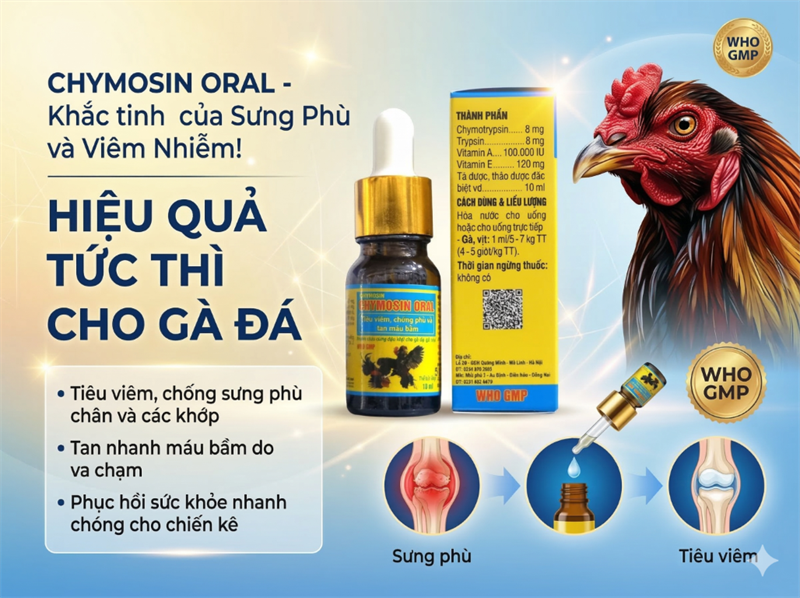 Drich Chymosin Oral (gà đá) 10ml - TIÊU VIÊM, CHỐNG PHÙ NỀ, TAN MÁU BẦM - Lọ (lốc 12) - Ảnh 4