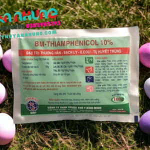Alternative view of BM THIAMFENICOL - Bịch 10 gói
