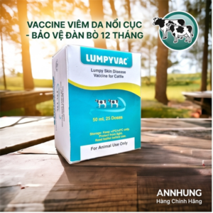 Vaccine Viêm Da Nổi Cục Lumpyvac 25 Liều - Lọ