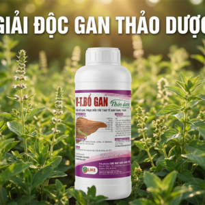 Like VT. BOGAN 1 lít - Chai