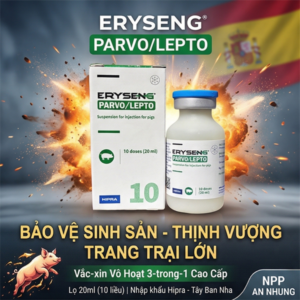 Vaccine Hipra Parvo Lepto 10 liều - Lọ