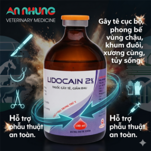 Hanvet Lidocain 2% (Gây tê) 100ml - Lọ