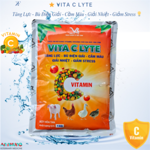 VB Vita C Lyte - Vitamin C 10% - Gói 100g