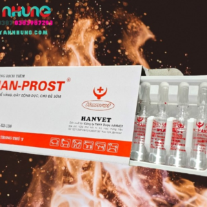 Han Prost - Ống - Tan thể vàng, gây động dục, cho đẻ sớm 🎉 - Hộp 10 ống