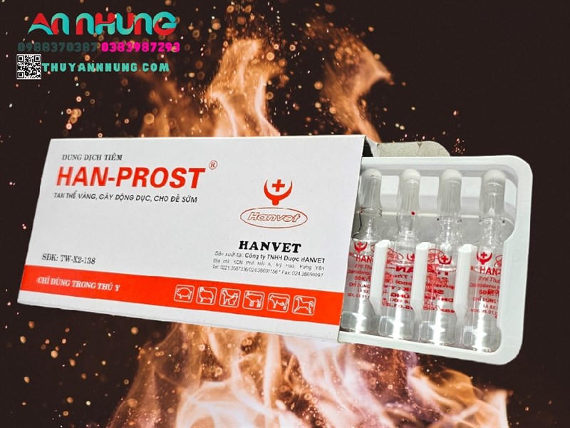 Han Prost - Ống - Tan thể vàng, gây động dục, cho đẻ sớm 🎉 - Hộp 10 ống